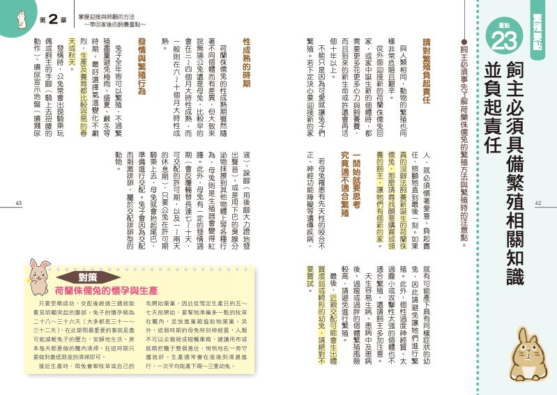 內頁 8