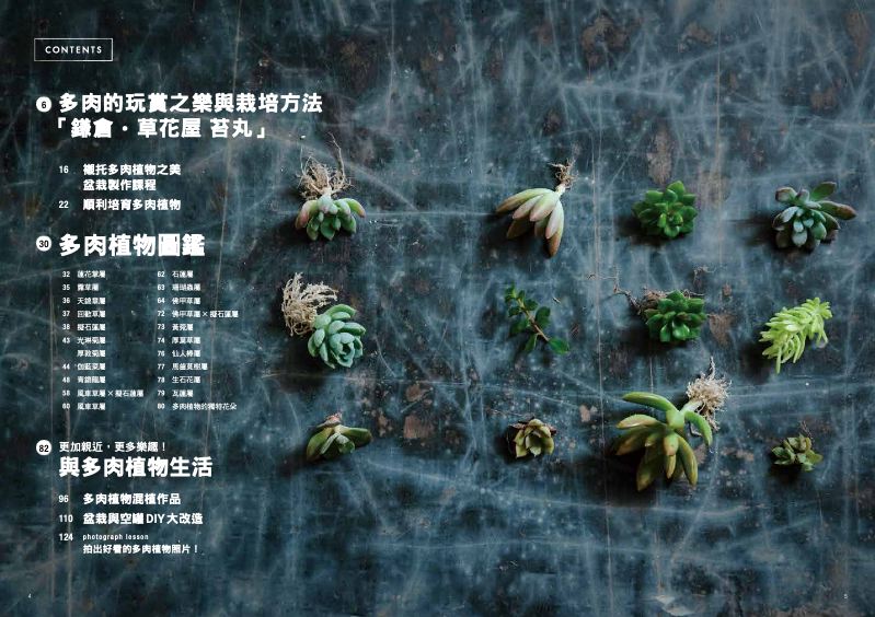 內頁 1