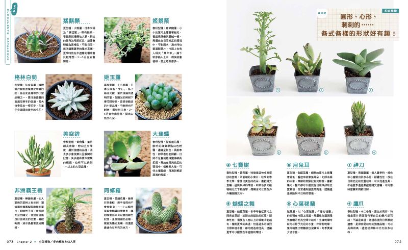 內頁 10