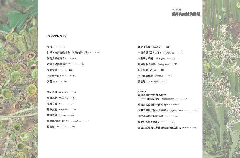 內頁 1