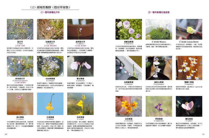 內頁 8