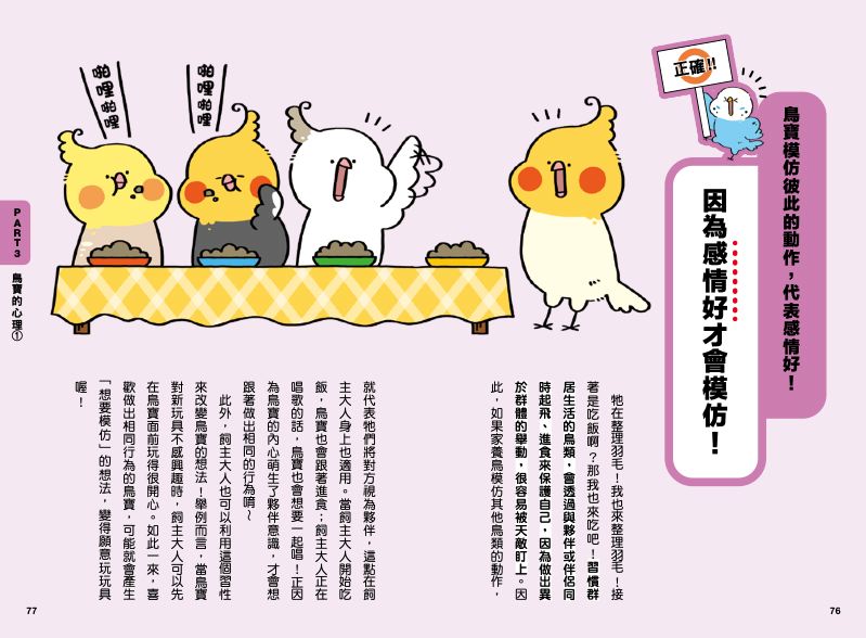 內頁 11