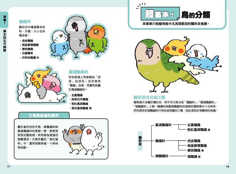 內頁 3