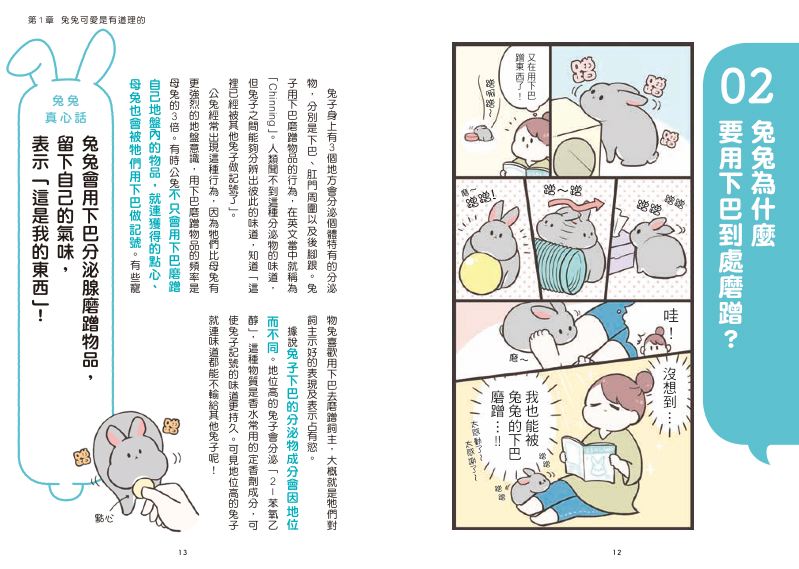內頁 3