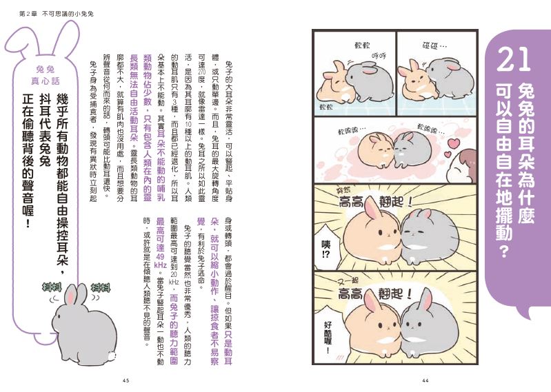 內頁 4