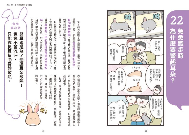 內頁 5