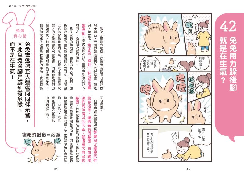 內頁 6