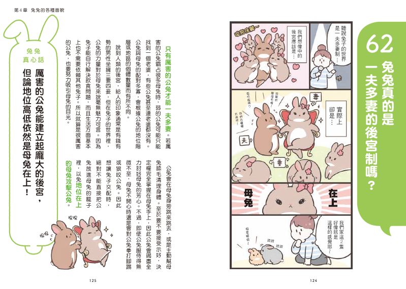 內頁 8
