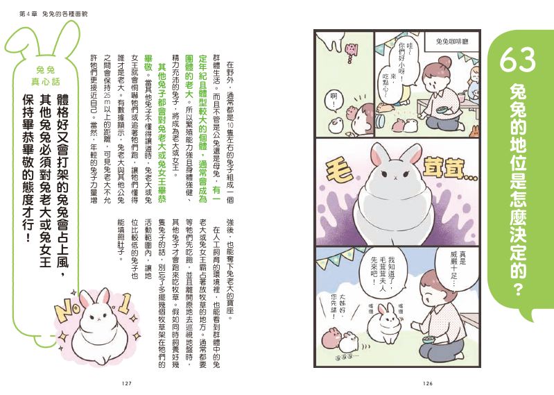 內頁 9