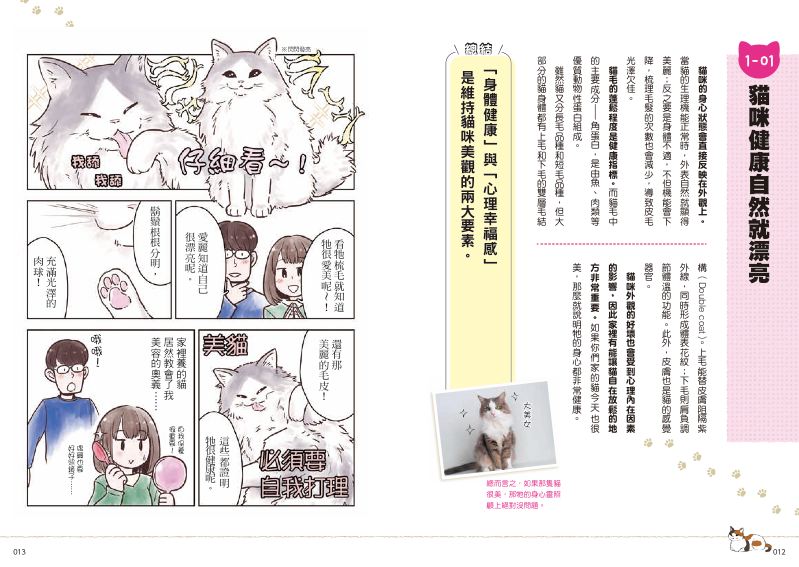 內頁 2