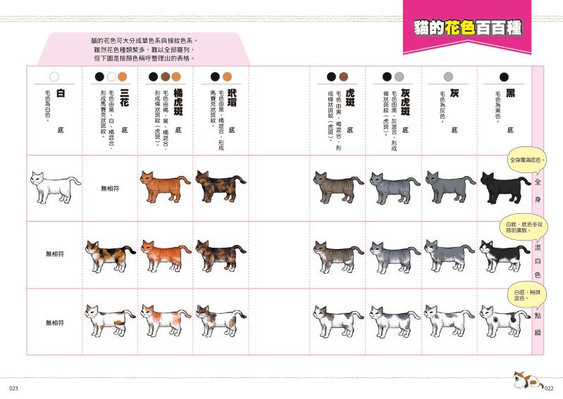 內頁 4