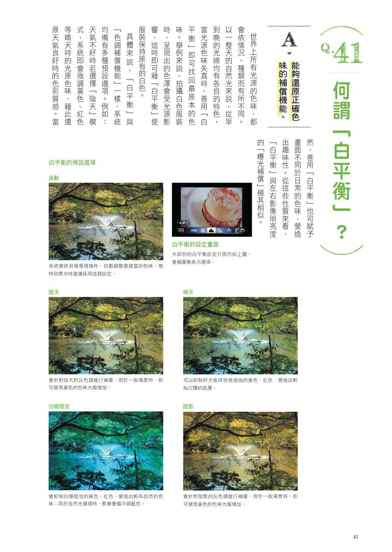 內頁 6