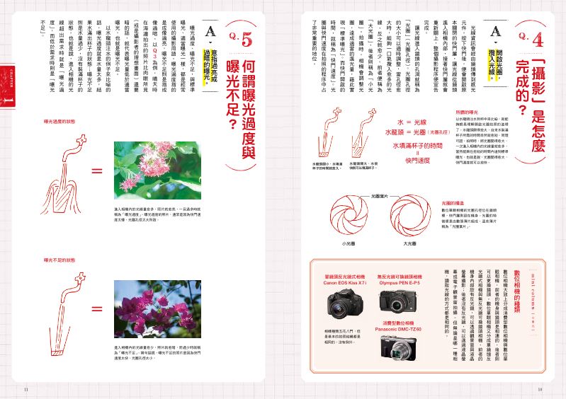 內頁 3
