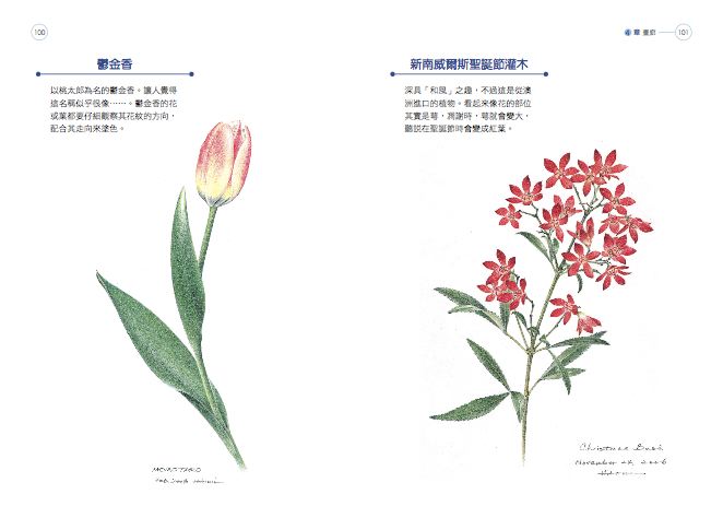 內頁 8