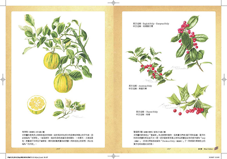 內頁 8