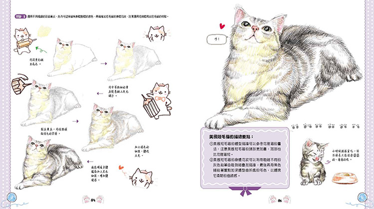 內頁 6