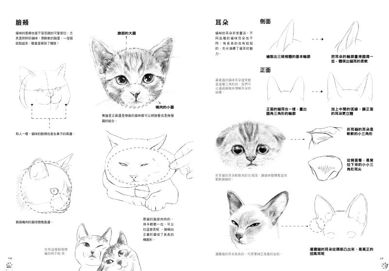 內頁 3