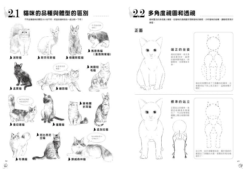 內頁 4