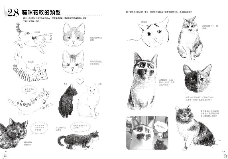 內頁 5