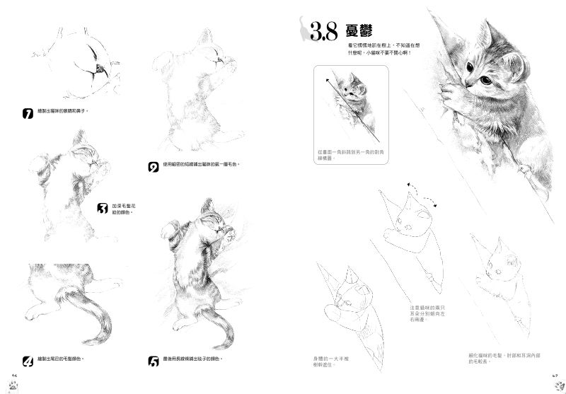 內頁 6