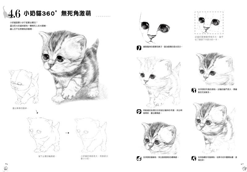 內頁 8