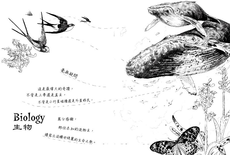 內頁 2