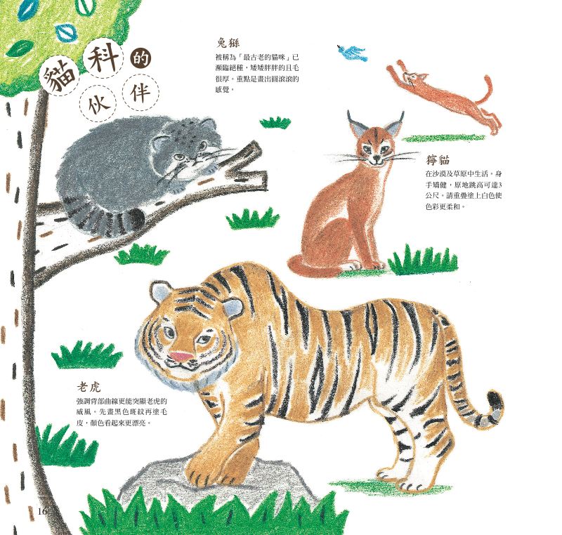 內頁 4