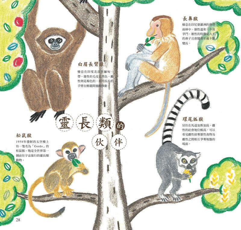 內頁 7