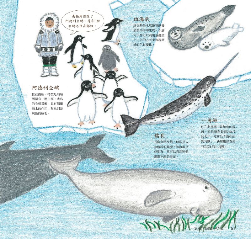 內頁 9