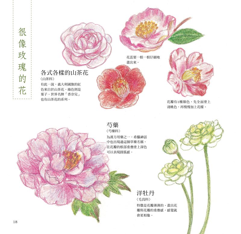 內頁 6