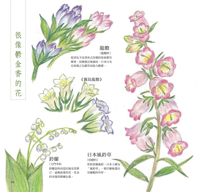 內頁 8