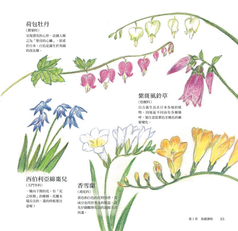 內頁 9