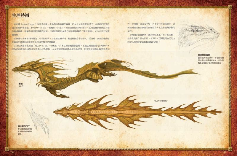 內頁 7