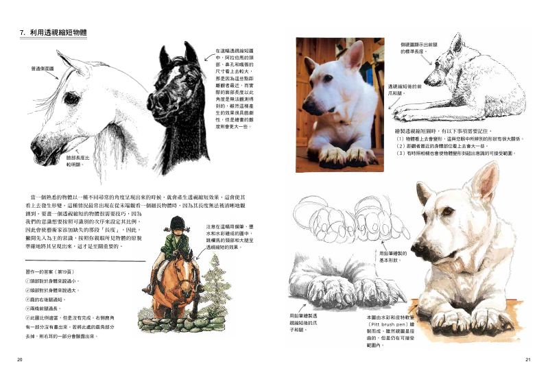 內頁 4