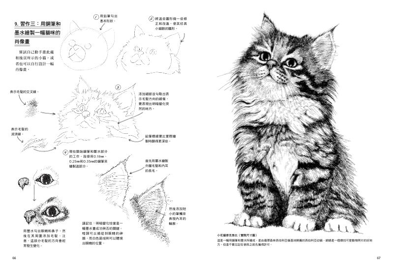 內頁 7