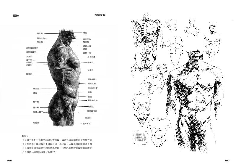 內頁 5