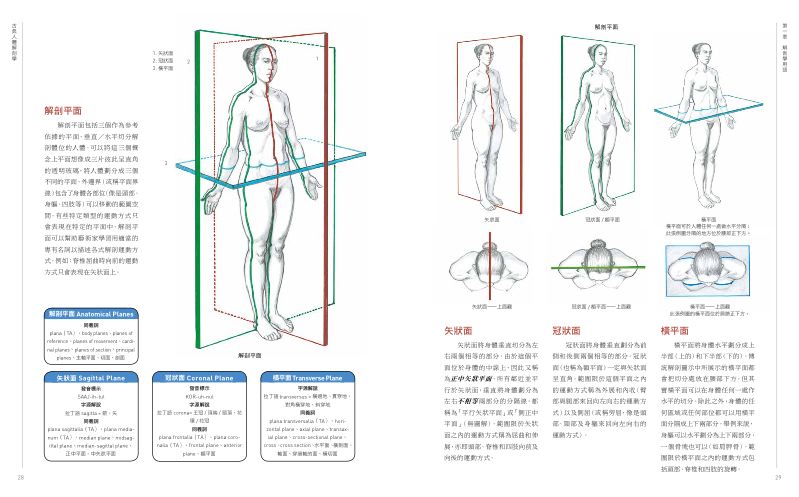 內頁 3