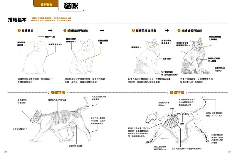 內頁 2