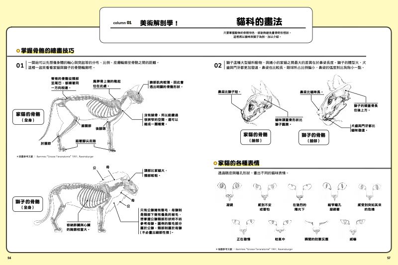 內頁 4