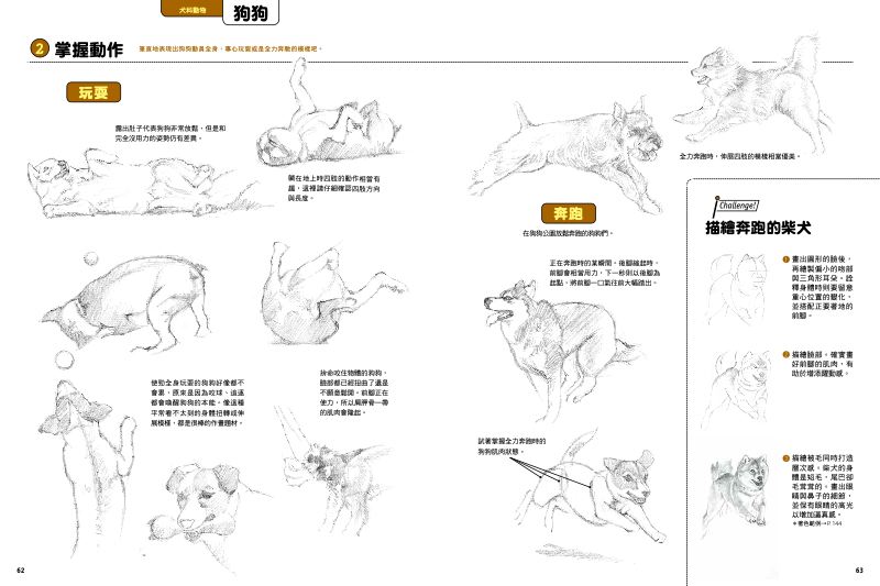 內頁 5