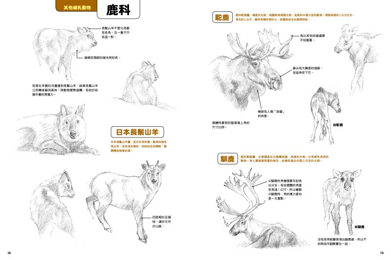 內頁 6
