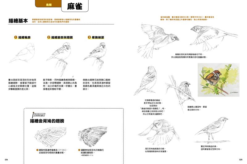 內頁 8