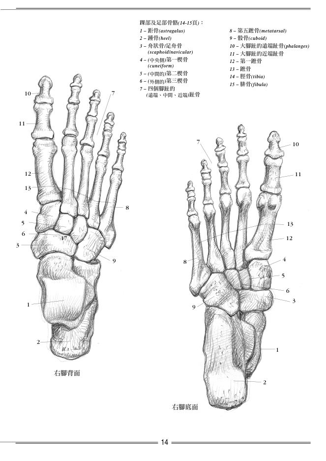 內頁 3