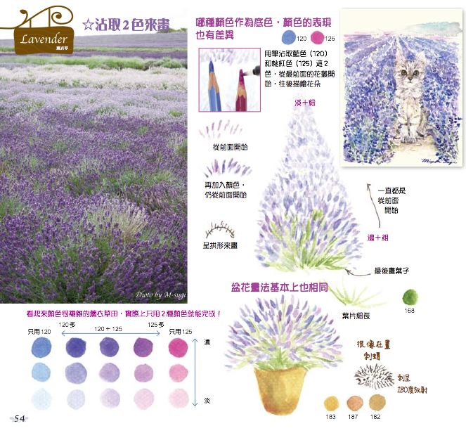 內頁 9