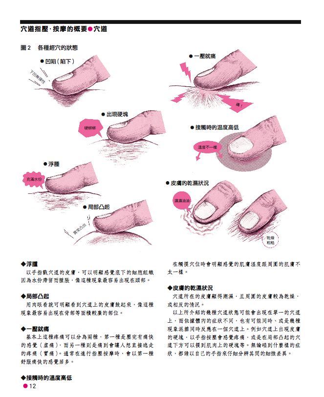 內頁 3