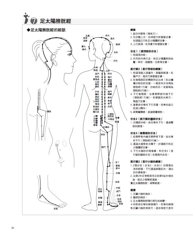內頁 3