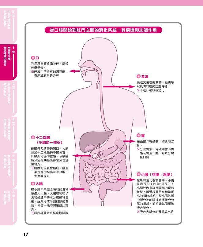 內頁 7