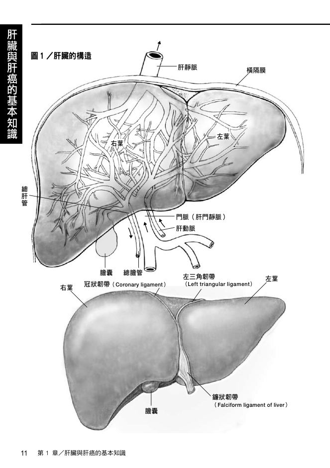 內頁 3