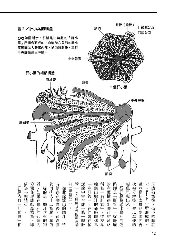 內頁 4