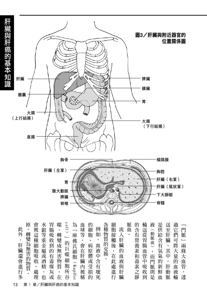 內頁 5
